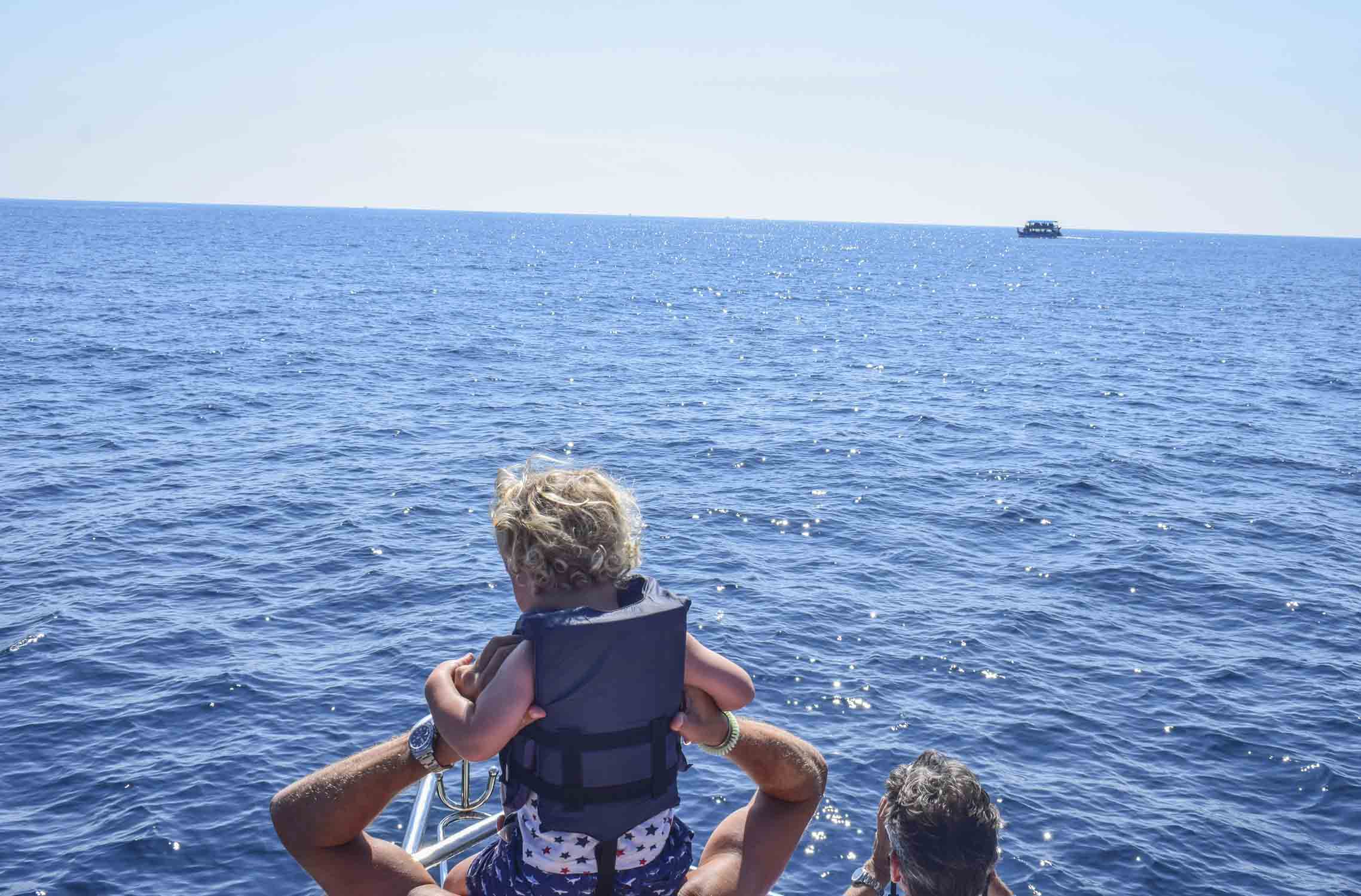 whale watching mirissa