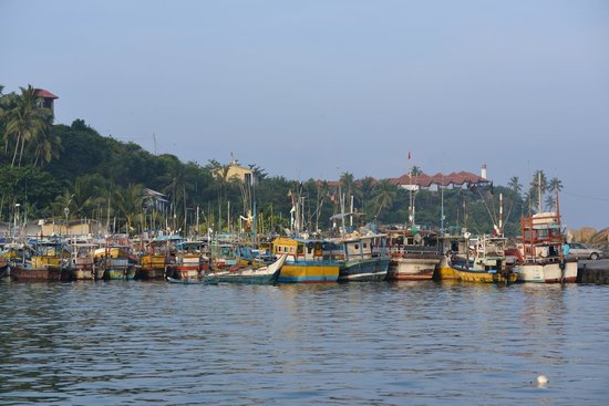 mirissa fisheries harbour